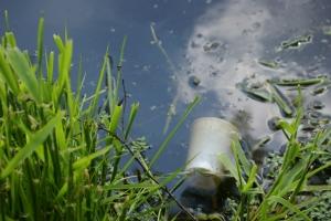Environment for Kids: Contaminación del agua