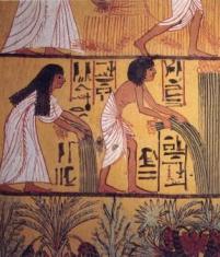 Древноегипетска история за деца: храна, работа, ежедневие