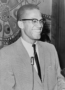 Eachdraidh-beatha dha Clann: Malcolm X
