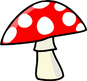 Биология для детей: грибы