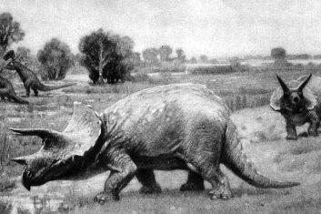 Triceratops: Ketahui tentang tiga dinosaur bertanduk.