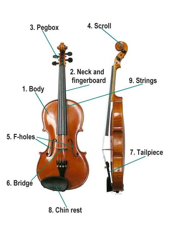 Música per a nens: parts del violí