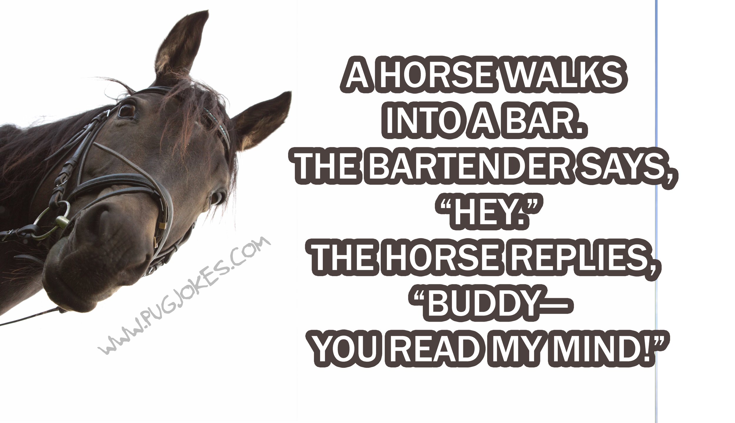Vtipy pre deti: veľký zoznam vtipov o koňoch